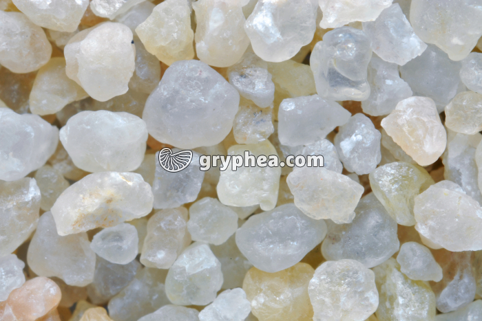 Sable de Loire tamisé x3 - gryphea.org